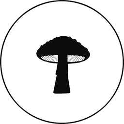 Fungi