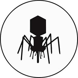 Virus